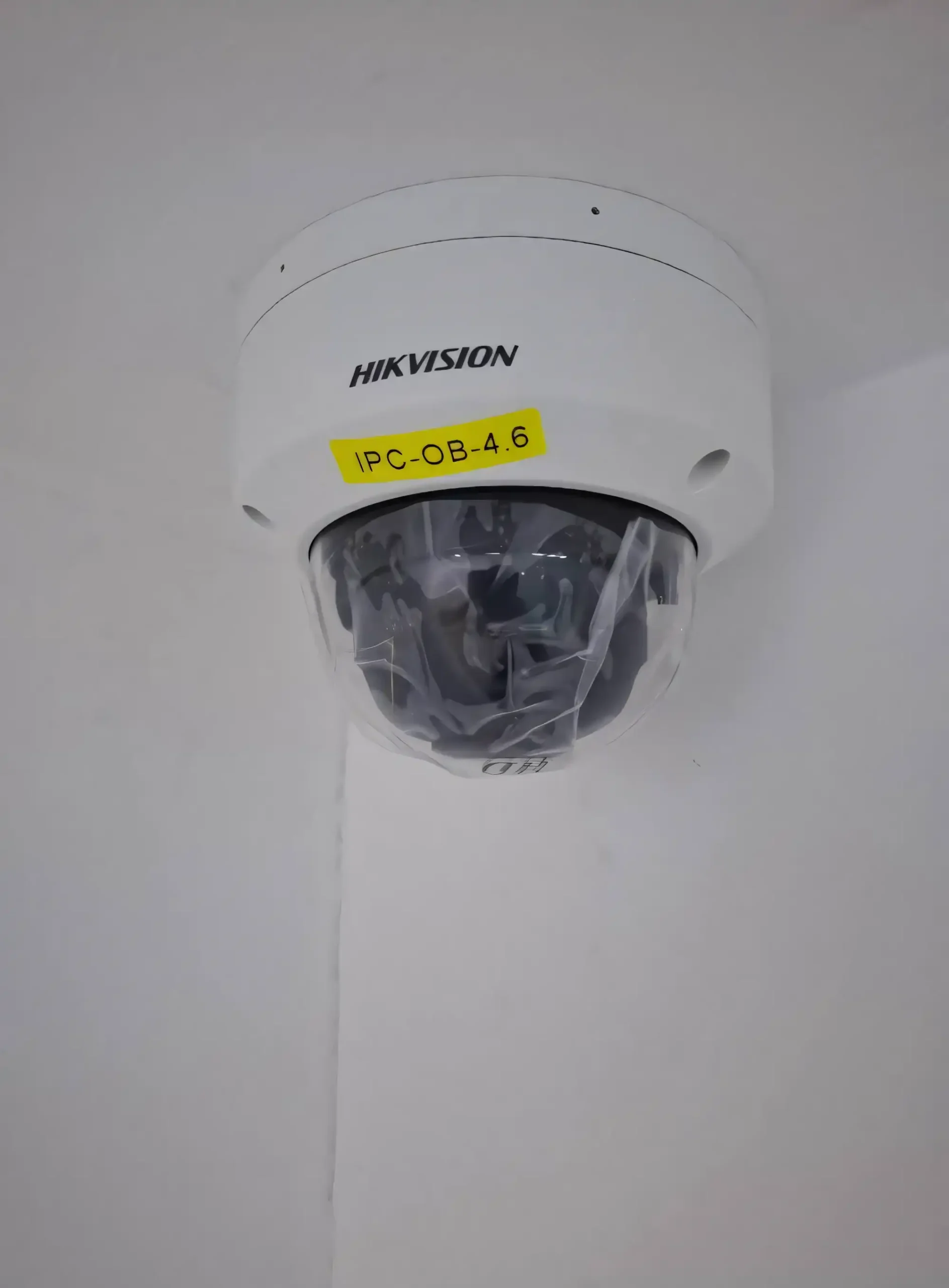 390852_0 (Web V)